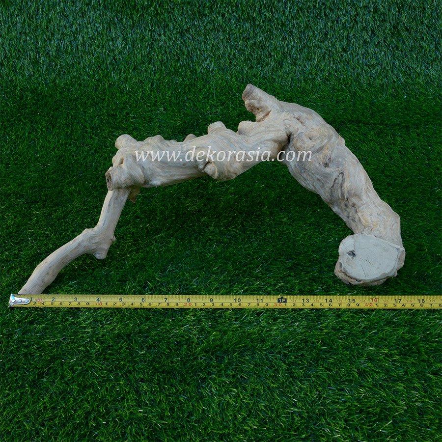 Coffee Wood (Size XS) for Reptile, Aquarium, Aquascaping - Coffee Wood Unique - Image 3